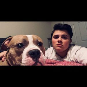 Meet your Posher, Lexi